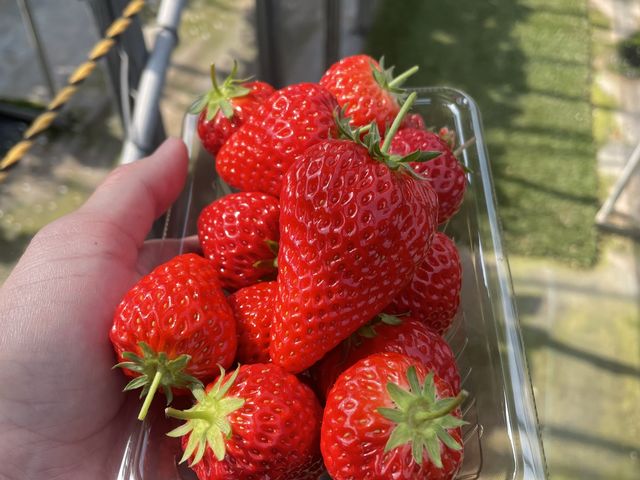 ���������P���Ă��܂�����_���c�������t�@�[��