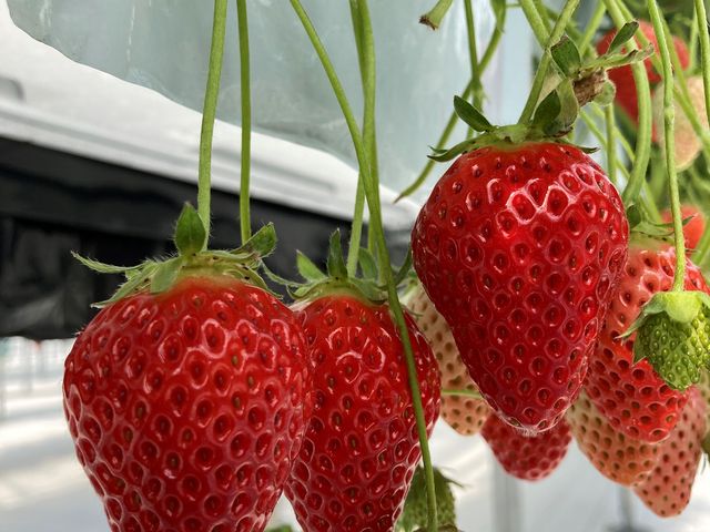 ܂܂嗱񂠂܂__NoYt@[