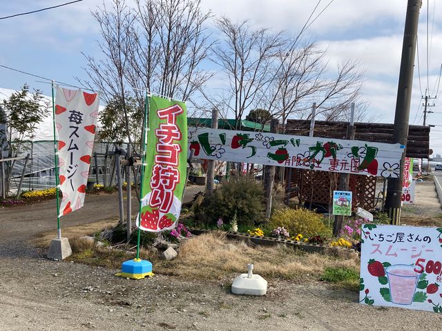 ����ׂ��̊ό��_��_����ׂ��̊ό��_��