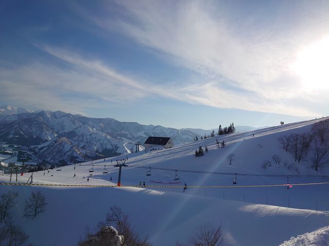 �V�C���ǂ����ŋC�����ǂ������I_�⌴�X�L�[��