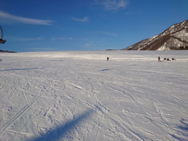 ���S�҂ɂ͂��X�X��_�⌴�X�L�[��