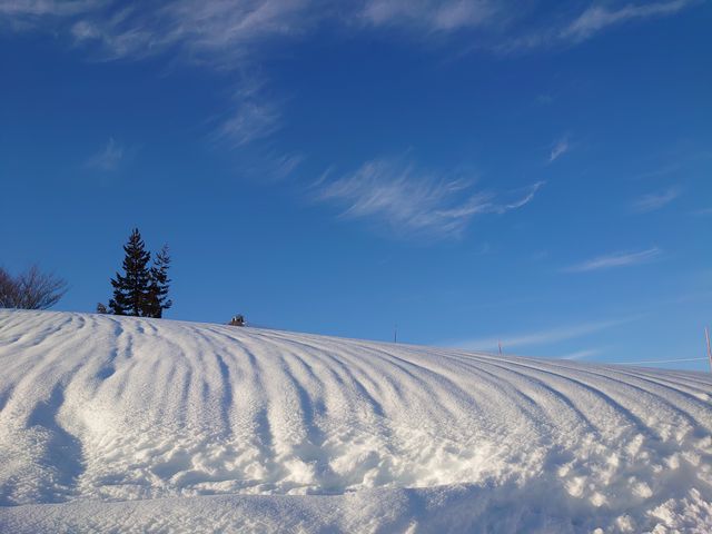 �ϐႪ�����ł�_�⌴�X�L�[��