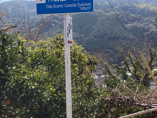 ��`���C�݊����i���̒n_��`���C�݊����i���̒n