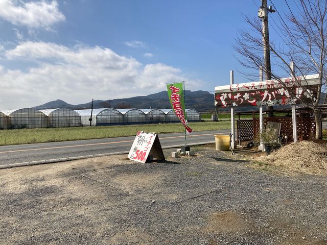 ����ׂ��̊ό��_��_����ׂ��̊ό��_��