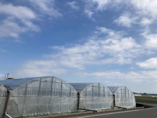 ����ׂ��̊ό��_��_����ׂ��̊ό��_��