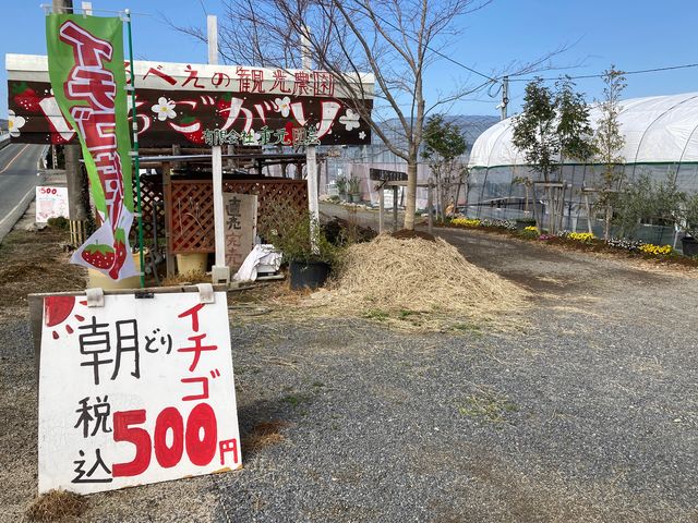 ����ׂ��̊ό��_��_����ׂ��̊ό��_��