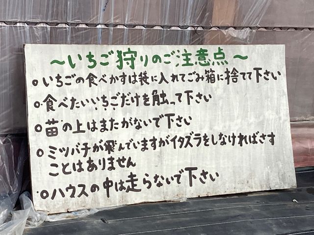 ����ׂ��̊ό��_��_����ׂ��̊ό��_��