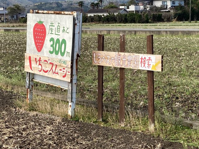 ����ׂ��̊ό��_��_����ׂ��̊ό��_��