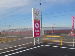 ό_ Bee my Berry̎ʐ^2