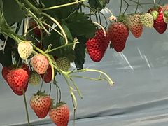 hidepabûzl_ւ̓eʐ^2