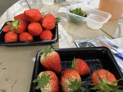 ͂邩joumonfarmi傤ӂ[ށjւ̓eʐ^1