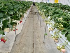 ҂̂Eu[x[_@x[̋ւ̓eʐ^1