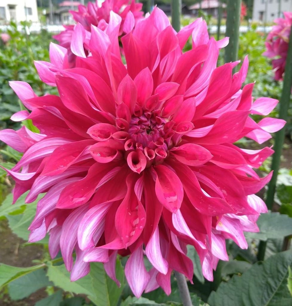 烏生田の観光スポットランキングtop1 じゃらんnet