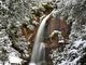ポパイさんの瀑雪の滝の投稿写真1