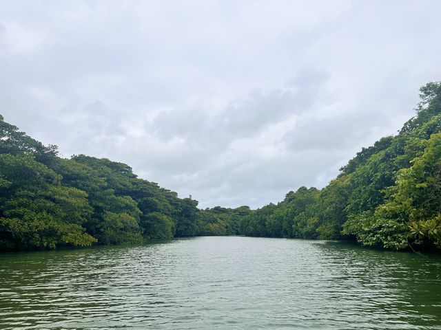 天気は曇ってましたが、過ごしやすくて結構良かったです。_OHCUS石垣島