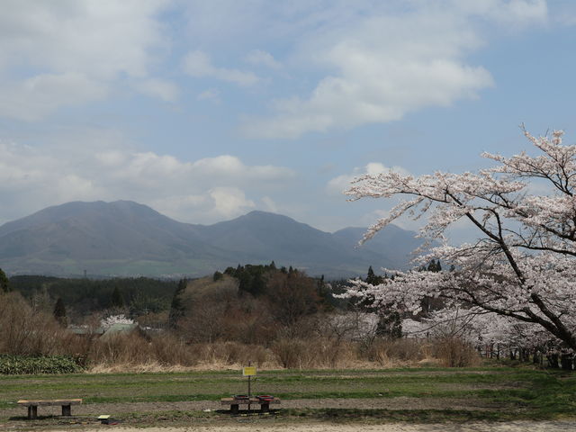 takasan̊_Ђ̍؂̓eʐ^1