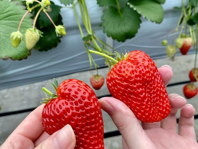 �f�J������������������_���������@�܂���