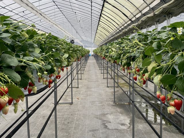 �����̎ʐ^�ł�_���������@�܂���