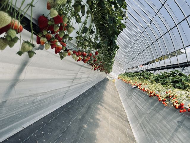 ����������ʂɂ���̂łǂ�ɂ��邩�Y�ނ��Ƃ������K���Ȏ��ԂɂȂ�܂��B_�ԍՂ������̒J