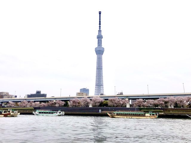 �ō��I_�������LSC�W���p��