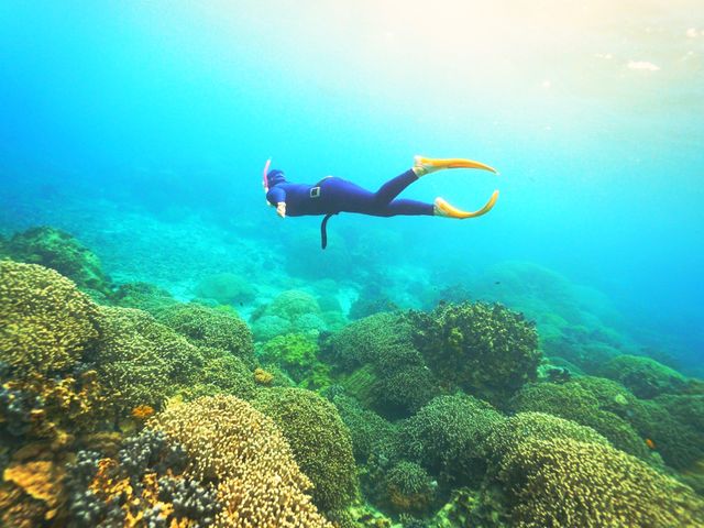 �Ղ����ʐ^_SUN SEA �������