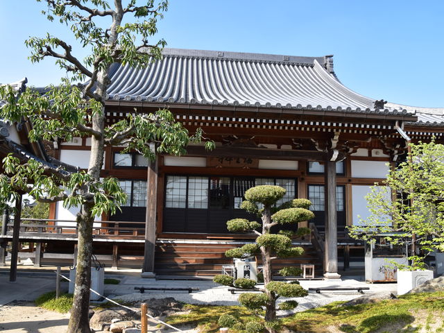 �O���`������̐��_���̓��e�ʐ^1