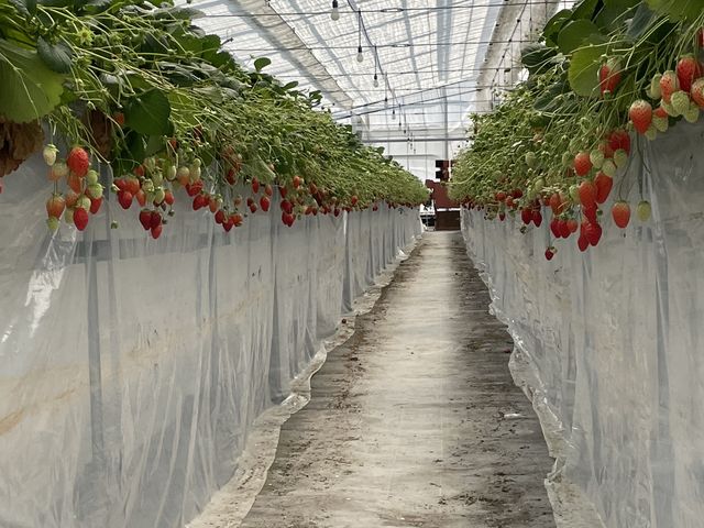 �n�E�X�̒��ł������������ł���_�C�ӂ̂�������