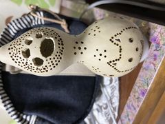 AL̗VH[@ĂƂĂւ̓eʐ^1