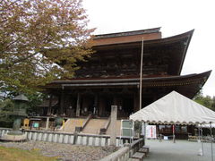 L񂳂̑{R@Rւ̓eʐ^1