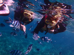 񂳂̐̓A@Dive@ւ̓eʐ^1