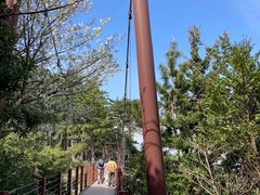 �郖��苴�i��e����j�̎ʐ^1