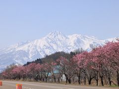 とくちゃんさんの妙高山の投稿写真1