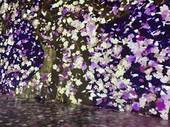 䂫̊p앐~[WAւ̓eʐ^2