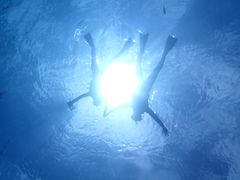 ꂳNEWSߔeXւ̓eʐ^1