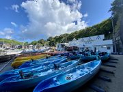 V}񂳂̏؃_CrOZ^[̓eʐ^1