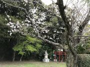 ShotảFÎRՂ̓eʐ^1