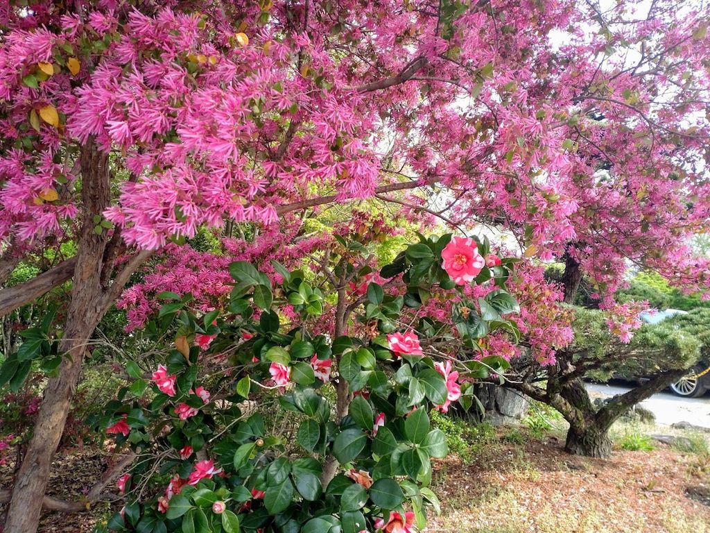 浮羽町古川のバイキング ビュッフェ ホテルレストランランキングtop1 じゃらんnet