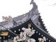 とくちゃんさんの高田城三重櫓の投稿写真3