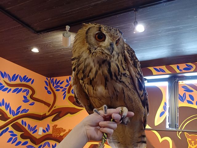 ԋ߂Ō܂_ANAtHXg@-̐X-