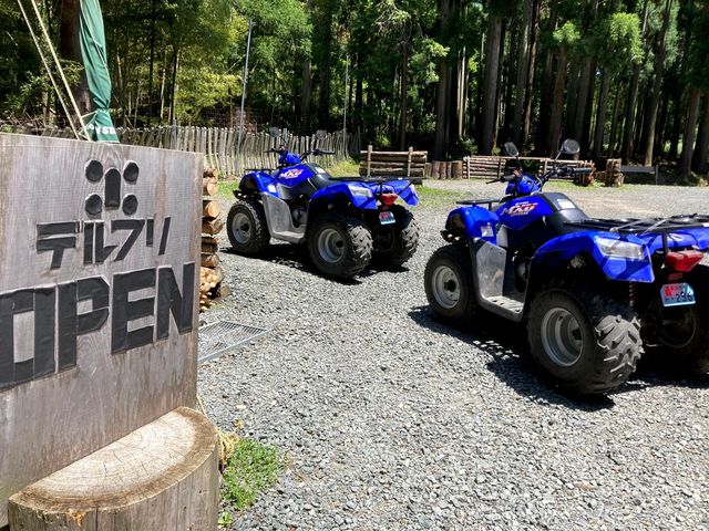 �o�M�[�̌�_�f���t���L�����v