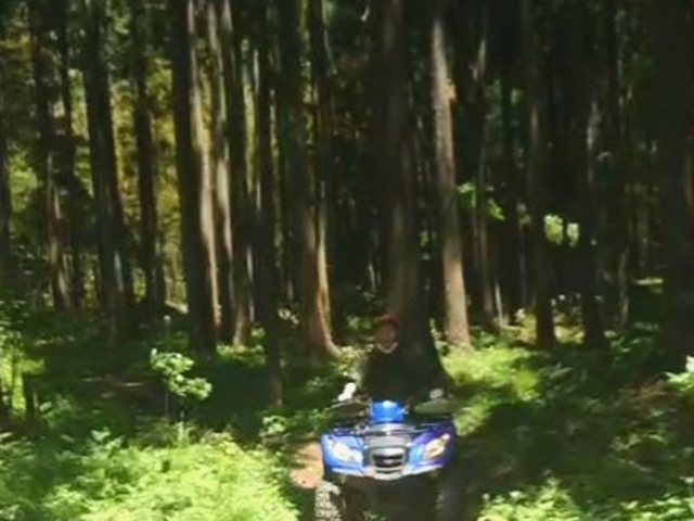 �o�M�[�̌�_�f���t���L�����v