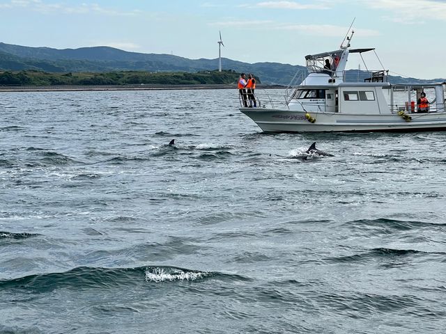 ������������D�̑��ɂQ�Ǐo�`���Ă��܂����B_�C���J�}�������[���h