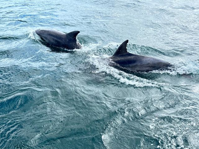 ���킢���C���J_�C���J�}�������[���h