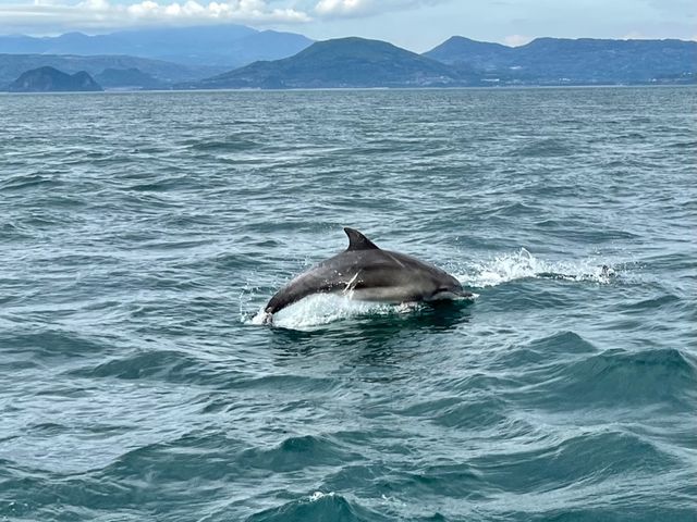 �W�����v�`_�C���J�}�������[���h