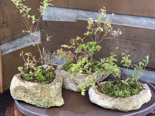 ���Ă̖�����1_�`�F���[�K�[�f���쑐��