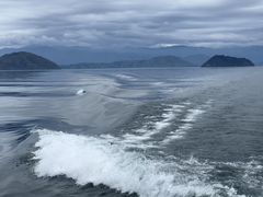 肱̒|N[Y(Í`/i΋DD)ւ̓eʐ^1