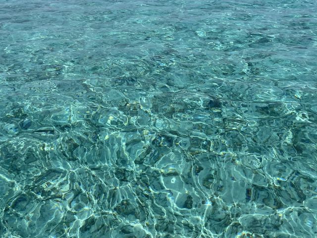 X^btĂHقǍō̃RfBVB̐FALLAH_d Jg}[k