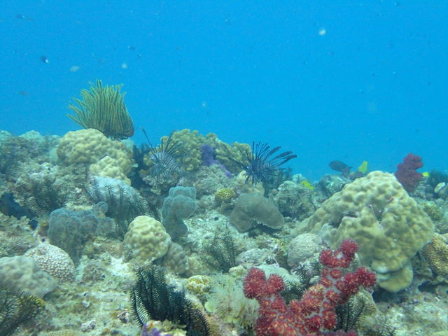 �����ق̂悤�ɂ����ȋ�������|�C���g_��g�ݐؐ�墊C�̗V�я��@�Ȃ��䂭���