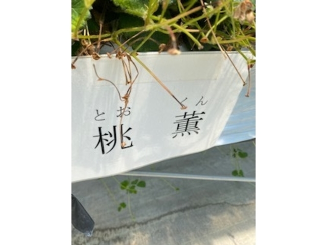 �����ڂ͂������A����͓��A�]���������܂��i�΁j_��傤����