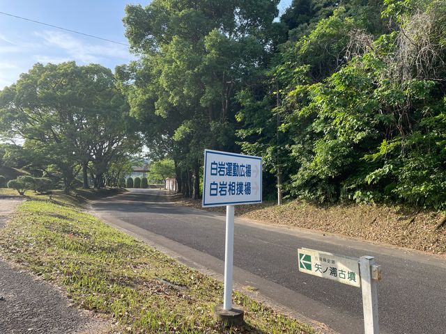 ����^������_����^������